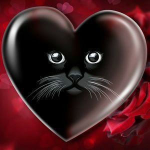 Meet your Posher, Karla